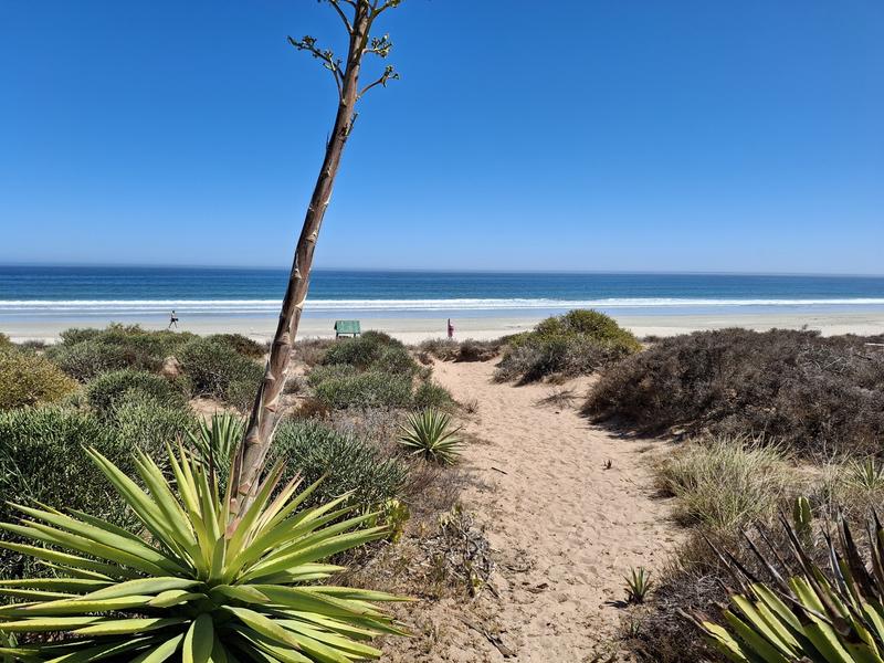 0 Bedroom Property for Sale in Golden Mile Western Cape